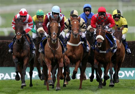 horse betting racing